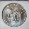 Image 4 : 1993 American Silver Eagle $1 - 1 oz .999 Fine Silver - Graded by NGC MS 69