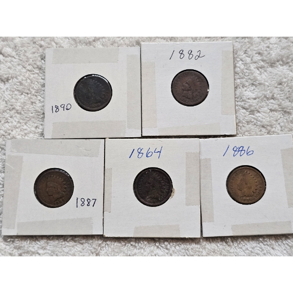 Assortment of U.S. Indian Head Cent Coins