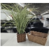 Image 1 : Faux Plant (Just under 24"T) and Nice Basket (11.75x6.5) 