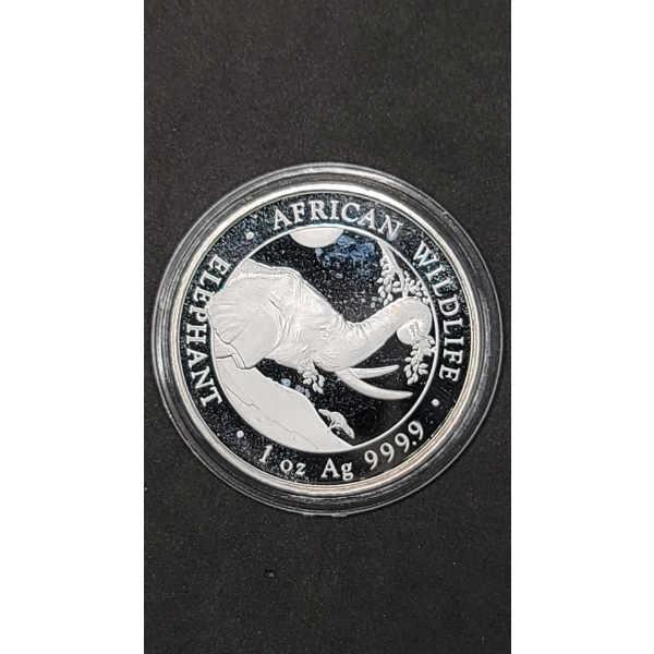 2023 Somalia 100 Shillings African Wildlife 1 Oz 9999 Silver Proof Elephant Coin