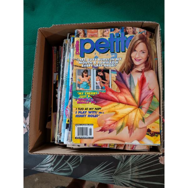 Lot Of 20 Assorted Adult Magazines
