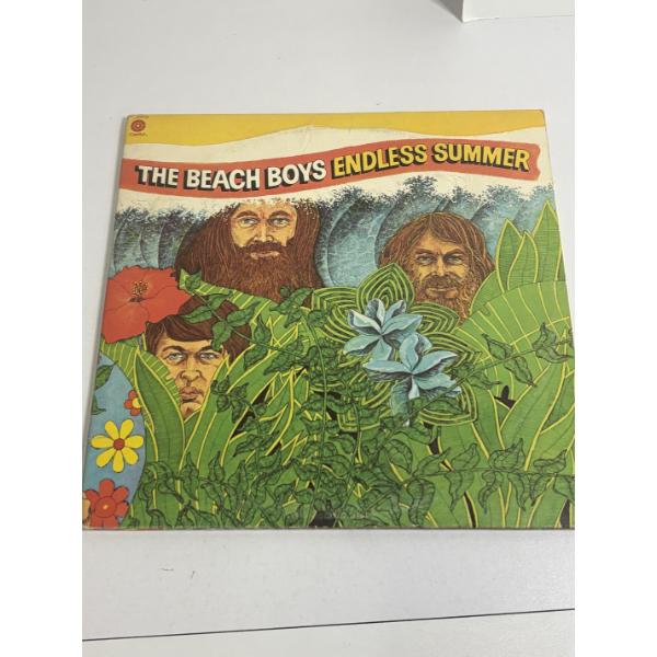 The Beach Boys Endless Summer Record - 2 Discs - in great shape!