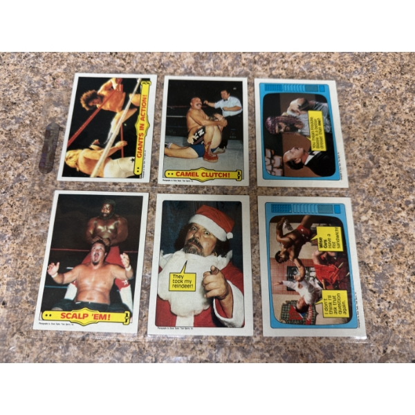 6 - 1985 WWF Wrestling Cards In Plastic Protector - Vintage & Hard To Find - Excellent Condition