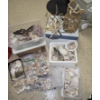 Image 1 : Amazing Collection of Sea Shells, Coral, Driftwood, Plant Life and More