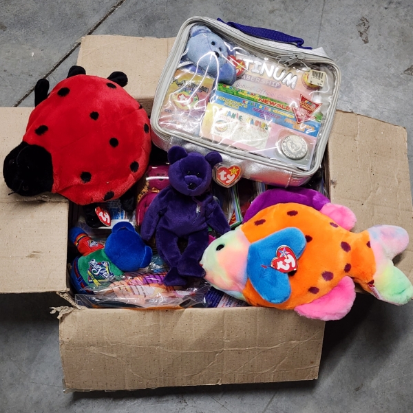 Large Assortment of Collectible Plushies & Beanie Babies Including Princess Dianna Bear & More!
