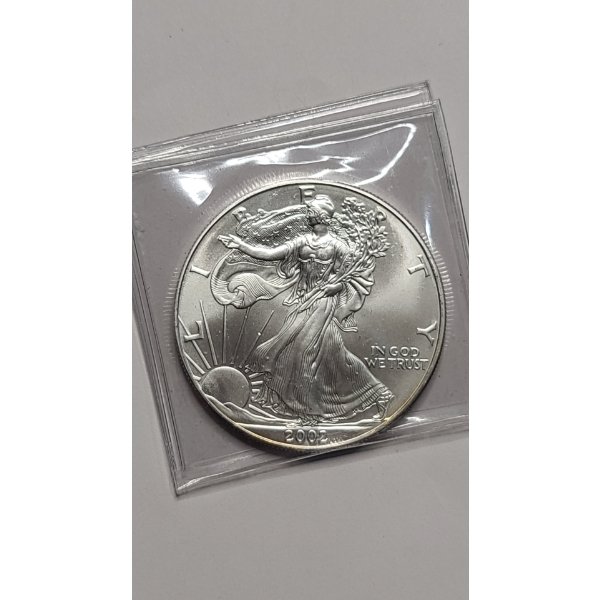 2002 1 Troy oz .999 Pure Silver American Silver Eagle Coin