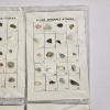 Image 3 : Collection of Rock, Mineral, and Gemstone Educational Kits (see description)