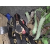 Image 4 : Ratchet Strap & Bungee Strap Group
