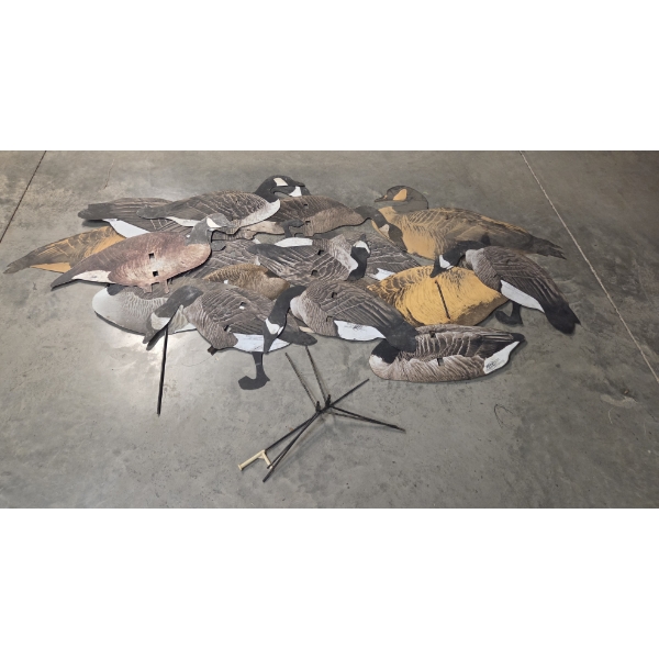 18 Flat Canada Goose Silhouette Decoys 