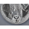 Image 8 : Limited Edition - Mintage 500!  2021 5oz Fine Silver South Africa Elephant FDOI Graded by NGC MS 70 