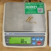 Image 5 : 14K Yellow Gold Bracelet Measuring About 7 Inches Long & Weighing 3.6 Grams Total