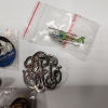 Image 4 : 5 Assorted Collectible Pins 