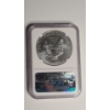 Image 3 : NGC 2011-S MS 69 Early Releases 1 Troy Oz .999 Fine Silver American Eagle 