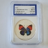 Image 1 : 2007 China Chen Baocai World Wildlife Red & Blue Butterfly .999 Silver Clad IGS MS70 PR-Like