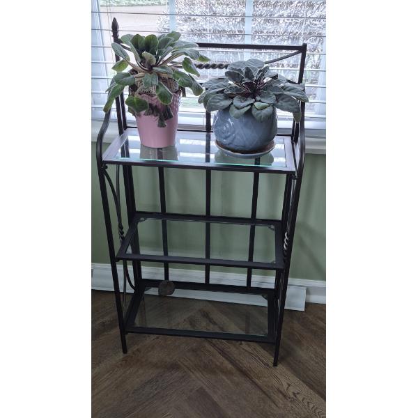 PICKUP IN NORTHFIELD - Glass Top Plant Stand With Live African Violets Included - See Pics 