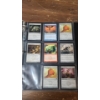 Image 10 : 
Large Assortment Of Magic The Gathering Cards Including Signed, Holos & Common Cards