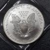 Image 2 : 2004 United States 1 Ounce .999 Silver Eagle - Uncirculated