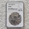 Image 1 : NGC MS69 Graded 2024 .999 Fine Silver 1oz. Eagle