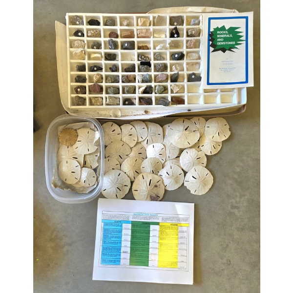 Interesting Rock Collection & Literature And Large Collection Of Natural Sand Dollars In Various Siz