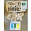 Image 1 : Interesting Rock Collection & Literature And Large Collection Of Natural Sand Dollars In Various Siz