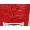 Image 3 : SHAWN PORTER Hand Signed Everlast Glove in Good Shape!