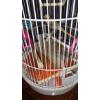 Image 2 : Wire Cage For Parakeets Or Small Birds - With Accessories Shown - Ex Condition