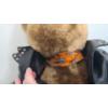 Image 2 : Collectible 1997-1998 Harley-Davidson "Panhead Pete" Plush 18" Biker Bear