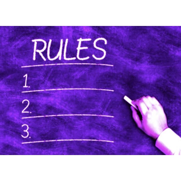  *Auction Rules & Terms!* PLEASE READ! DO NOT BID ON THIS LOT! Terms & Conditions Only