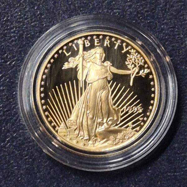 1995 US $25 Half Ounce GOLD Liberty Proof Eagle 1/2 Troy Ounce .999 Gold Untouched In Capsule