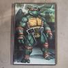Image 1 : Teenage Mutant Ninja Turtles Raphael Framed Art Print (18x12")