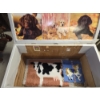 Image 3 : *Pick Up At Mantua Home-No Shipping Available* Neat 20''x20''x39'' Vinyl Covered Wooden Toy Box, Vin
