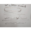 Image 4 : Assorted Sterling Necklaces and Chains Total Weight: 58.3g