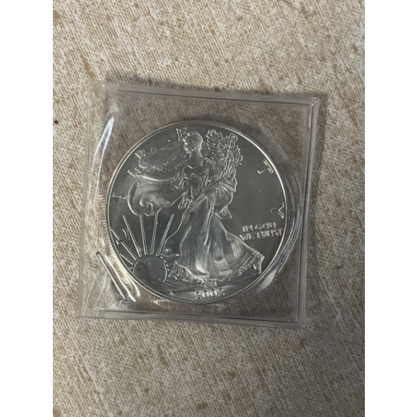 1 oz Fine Silver - One Dollar - 2002