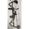 Image 4 : Bow and Arrows In Case 