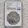 Image 1 : NGC MS69 Graded 2020 .999 Fine Silver 1oz. Eagle
