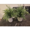 Image 2 : Four Like New Faux Potted Plants, Two New Rope Candles With Holders