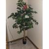 Image 1 : Pretty Faux 56" Tree