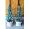 Pair Of 36" Outdoor Decor - Potted  Artificial Trees As Shown