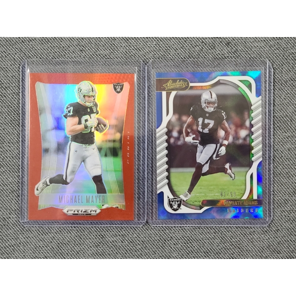 Lot of Two NUMBERED Oakland Raiders Trading Cards - Michael Mayer 137/199 & Davante Adams 81/99