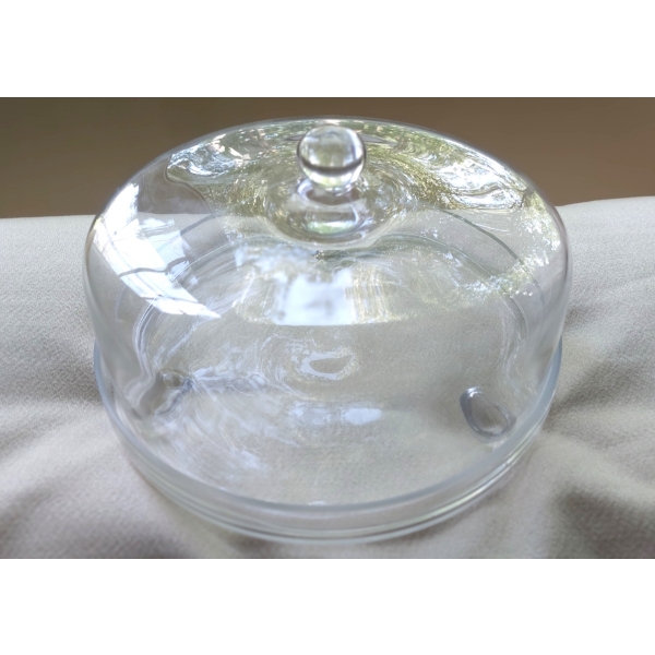 Full Size Glass Covered Cake Display / Storage Container