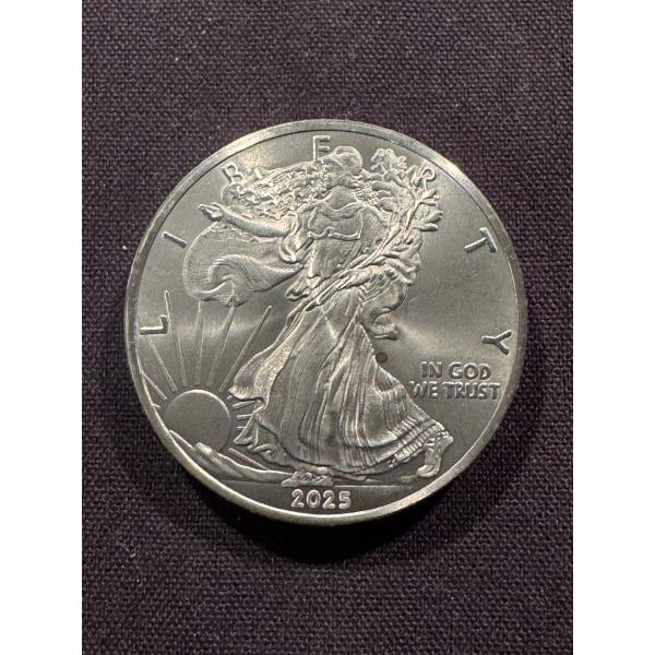 2025 Walking Liberty .999 Fine Titanium 1 Troy Ounce Coin - Mint Condition - Exceptional Coin