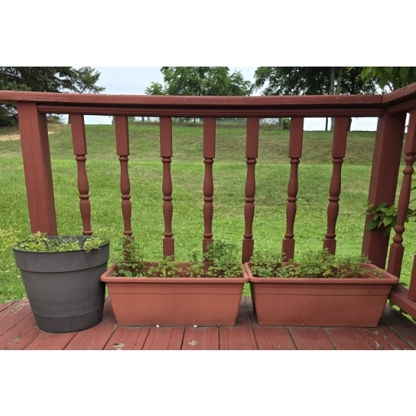3 Quality Plastic Planters