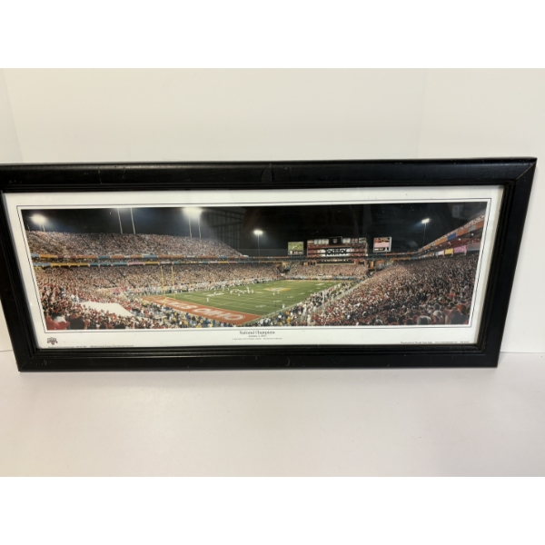 Ohio State Stadium Photo in Frame - Stadium Lights - 12 x 29 inches