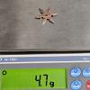 Image 5 : 5-gram Novelty Throwing Star Fashioned from .999 Fine Copper