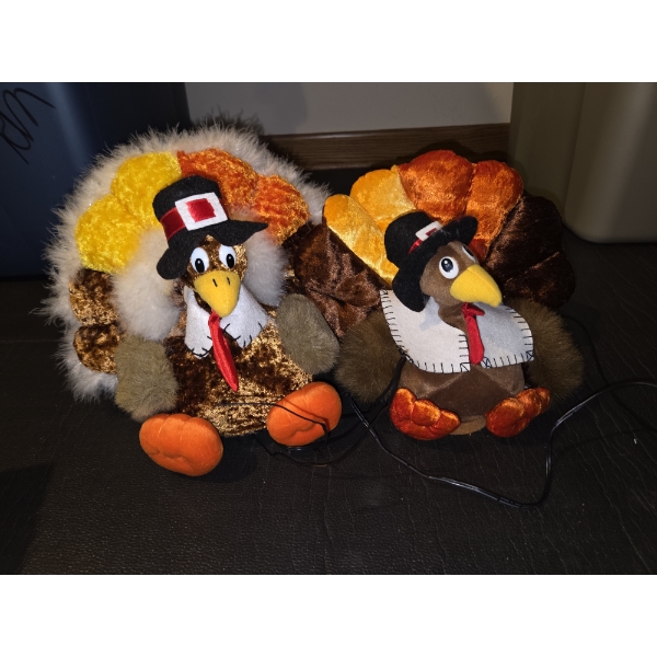 Animated Plush Turkeys, Large Glass Pumpkins, Table Covers, Night Lights & More!