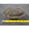 Image 10 : BEAUTIFUL RARE Antique STERLING SILVER Filigree Trinket or Jewelry Box - Weighs 391 Grams 