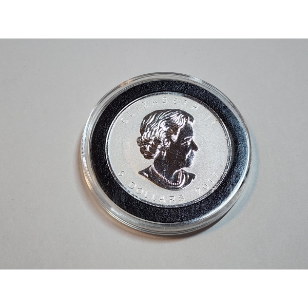 2017 $5 Canadian Maple Leaf Queen Elizabeth II 1 Ounce 9999 Fine Silver Coin