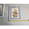 Image 5 : Decorative Framed Floral Wall Art: 11x9in and 24.5in 