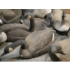 Image 5 : 13 Floating Life Size Plastic Canada Goose Decoys, Weights & Storage Bags 