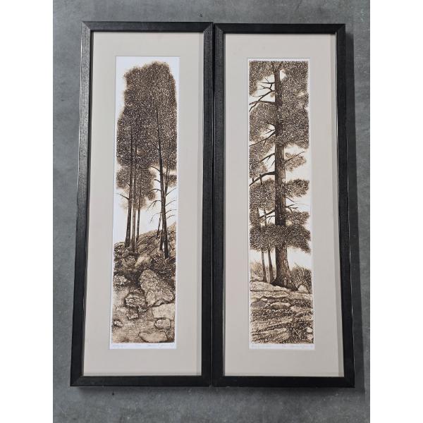 (2) Colored Etchings by Sandra J Yocum - Numbered and Signed - 10"x27" Each